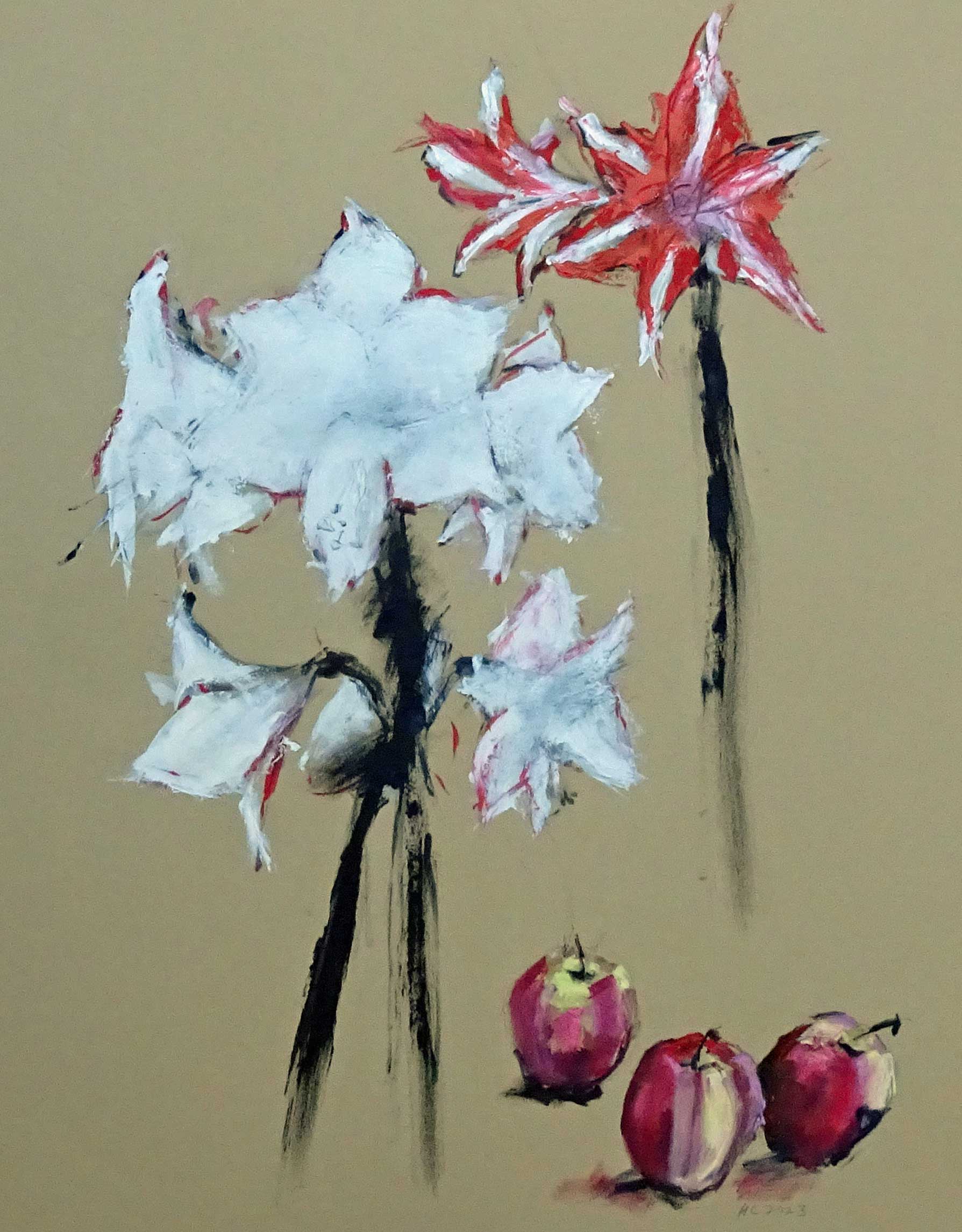 Apples - Amaryllis-30x22